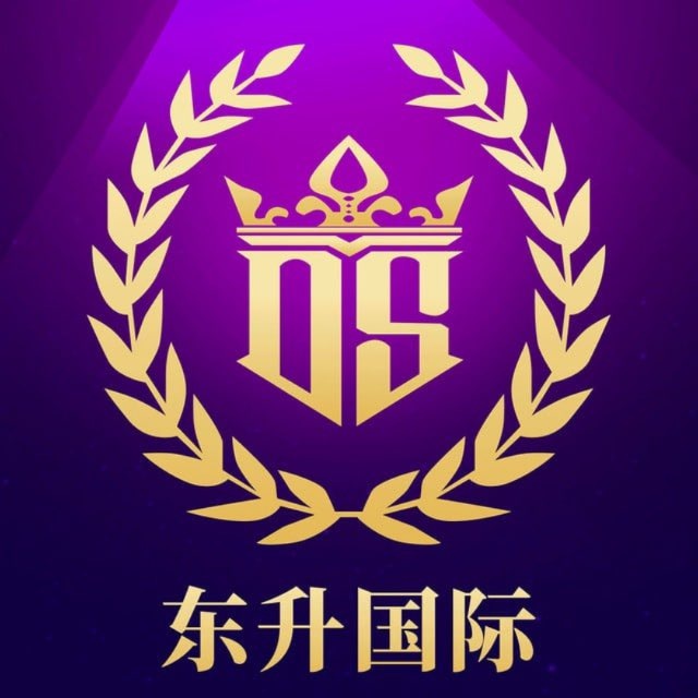 东升国际